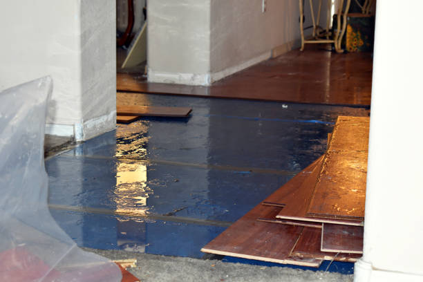 Professional Basement Flood Cleanup technician working in Mabel, MN